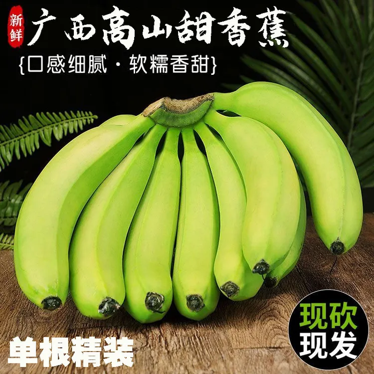 [补贴福利]广西高山甜香蕉软糯香甜新鲜应季水果特级非云南大香蕉