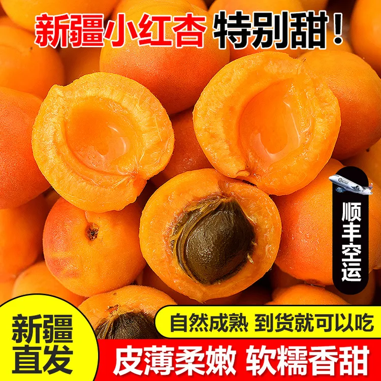 新疆小红杏阿克苏吊干杏新鲜应季水果现摘甜润可口杏顺丰空运