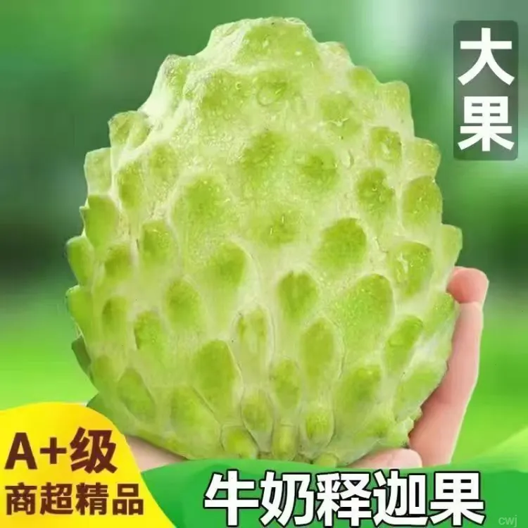 【头茬鲜果】现摘凤梨释迦果牛奶释迦新鲜番荔枝热带水果新鲜