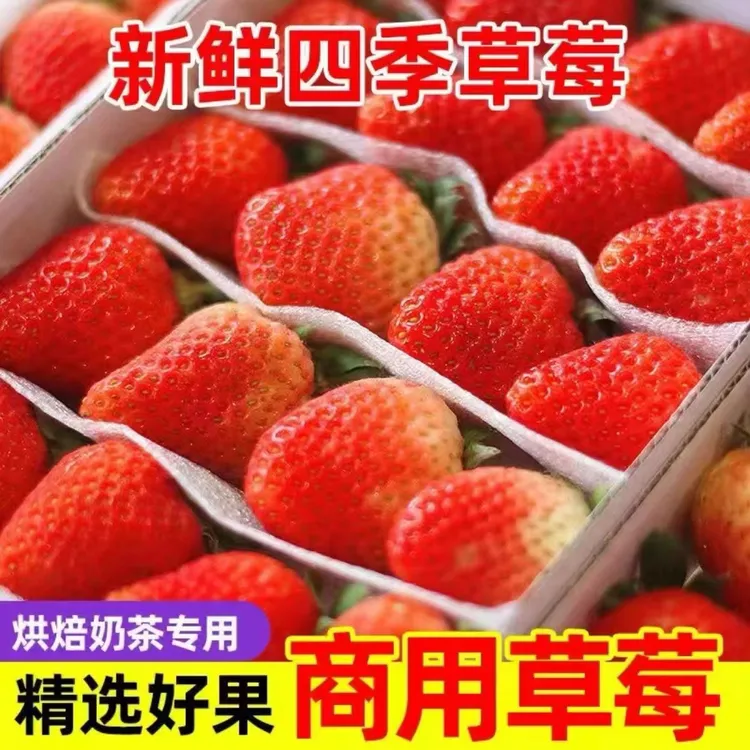 云南商用草莓散装果（3公斤）