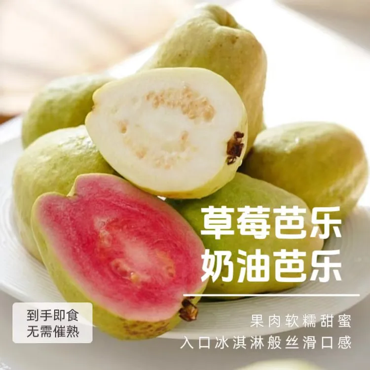 【顺丰包邮】奶油草莓芭乐新鲜孕妇水果低糖软糯香甜番石榴到手即食