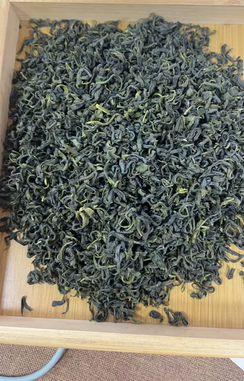昭平绿茶2025新茶打油茶