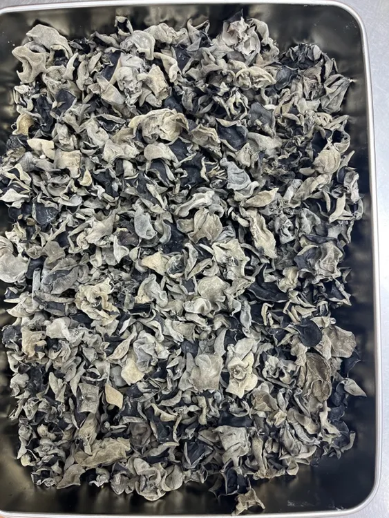 东北木耳春木耳黑木耳干货东北特产