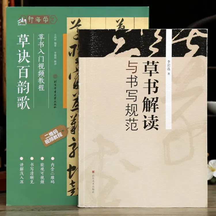 共2种草诀百韵歌草书入门视频教程草书解读与书写规范笔画偏旁