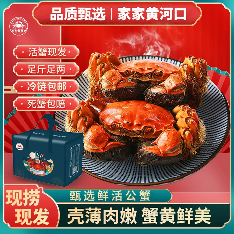 家家黄河口【活蟹】鲜活精品蟹现捕现发公蟹1.7—2.0两到手10只