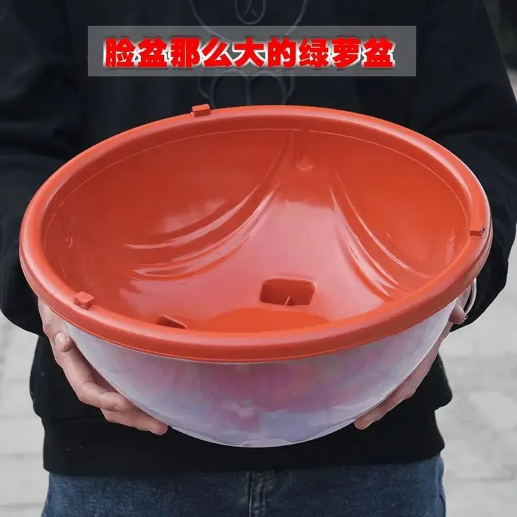 新双层绿萝吊篮花盆懒人自吸水绿萝专用塑料花盆多种颜色款式加大