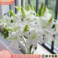 次日达 -【香水白百合】6朵百合鲜花鲜切花家居优选批发任意满两单顺丰包邮三单送花瓶今天拍明天到99