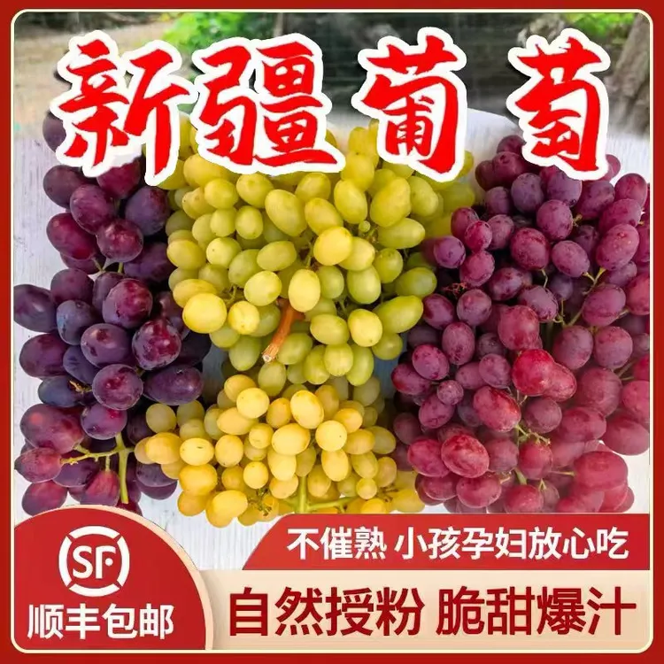 【顺丰空运】三色葡萄脆甜可口皮薄无籽新疆直发无核白玻璃翠黑马特