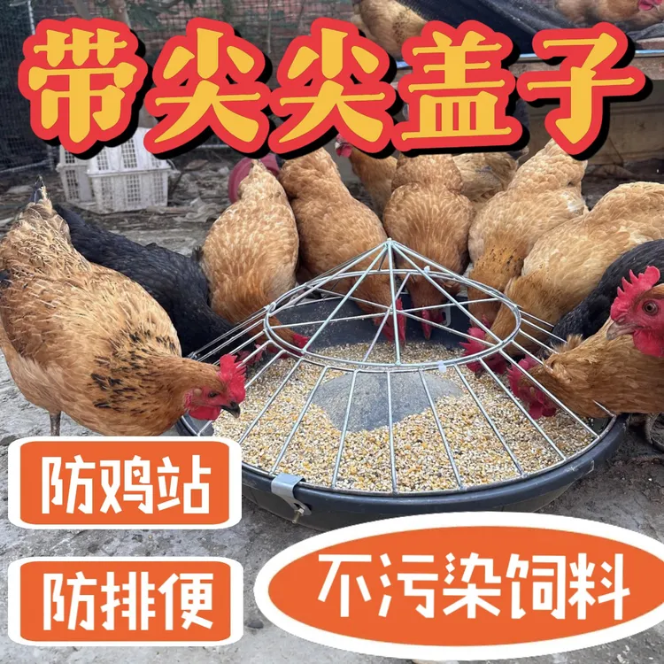 新款干湿两用圆形鸡鸭鹅通用喂鸡喂料食槽养殖专用加厚牛筋底盆