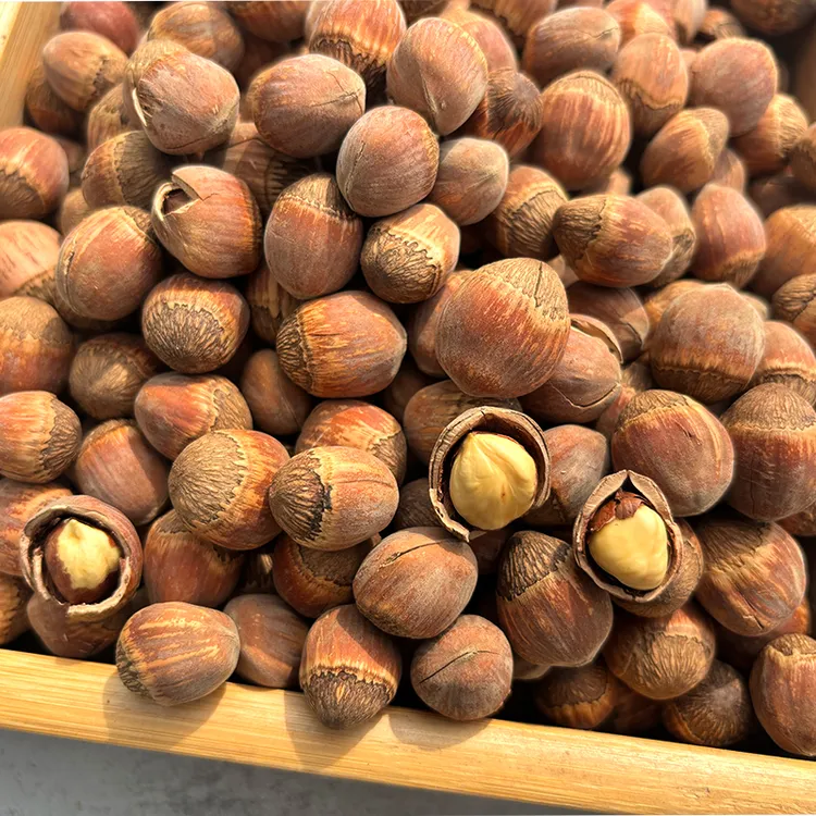 新货开口大果榛子清香可口东北特产达维大榛子400g零食坚果袋装