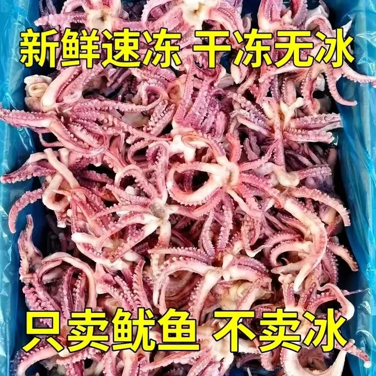 【到手五斤】新鲜速冻无冰衣鱿鱼头须脆口鲜嫩爽脆海鲜食材