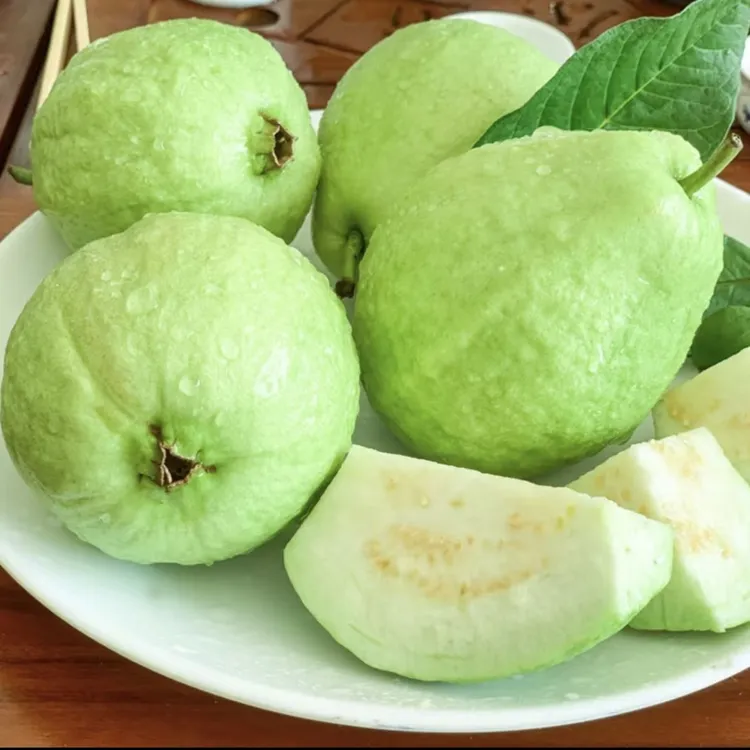 [霄哥同款]广西红心白心芭乐新鲜脆甜当季番石榴新鲜鸡屎孕妇水果