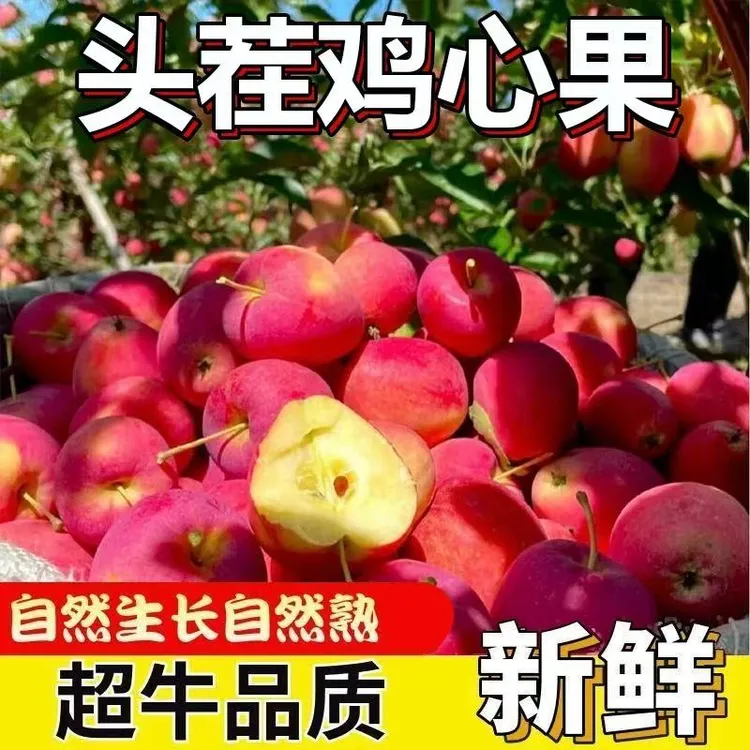 【精品】正宗东北鸡心果现采现摘孕妇水果酸甜多汁产地直发