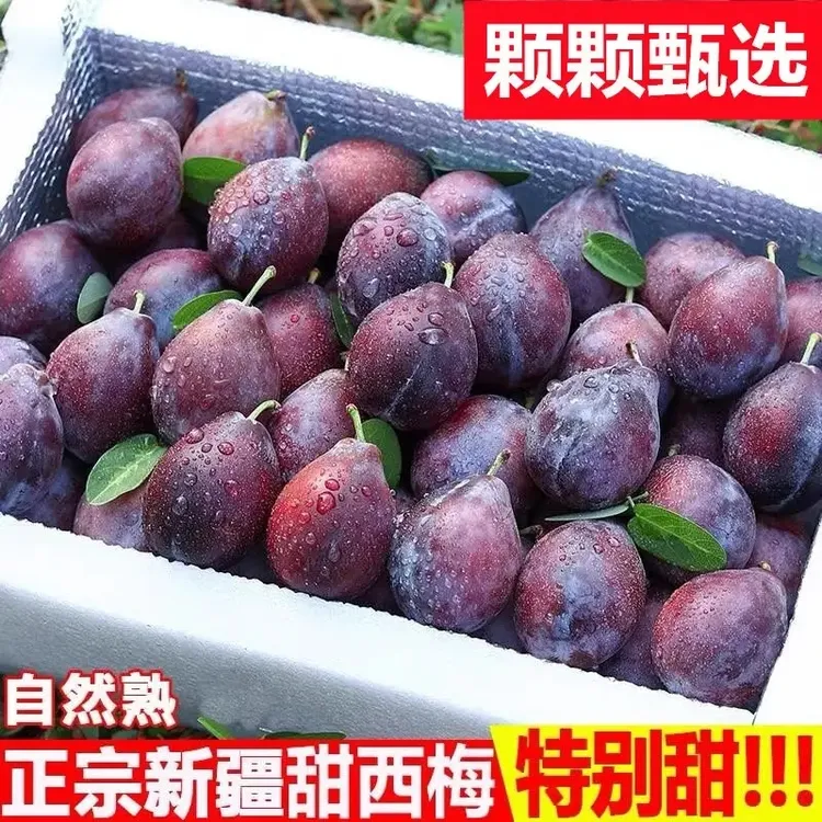 【顺丰包邮】正宗新疆喀什西梅新鲜水果当季爆甜大西梅鲜果李子