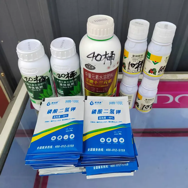 菊花苗增粗壮苗叶面肥(一次性买10万颗菊花苗送一套40桶水用量)