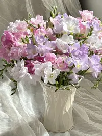 婵之语 2扎随机色香雪 兰鲜切花