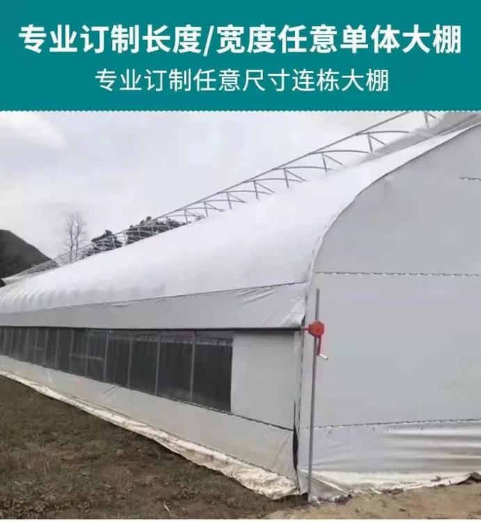 养殖大棚全套隔热保温鸽子养羊养殖棚养猪养兔养鸡鸭子大鹅养殖场
