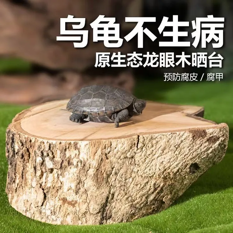 乌龟晒背台乌龟专用乌龟晒台木头天然沉木龙眼木摆件生态缸养龟台