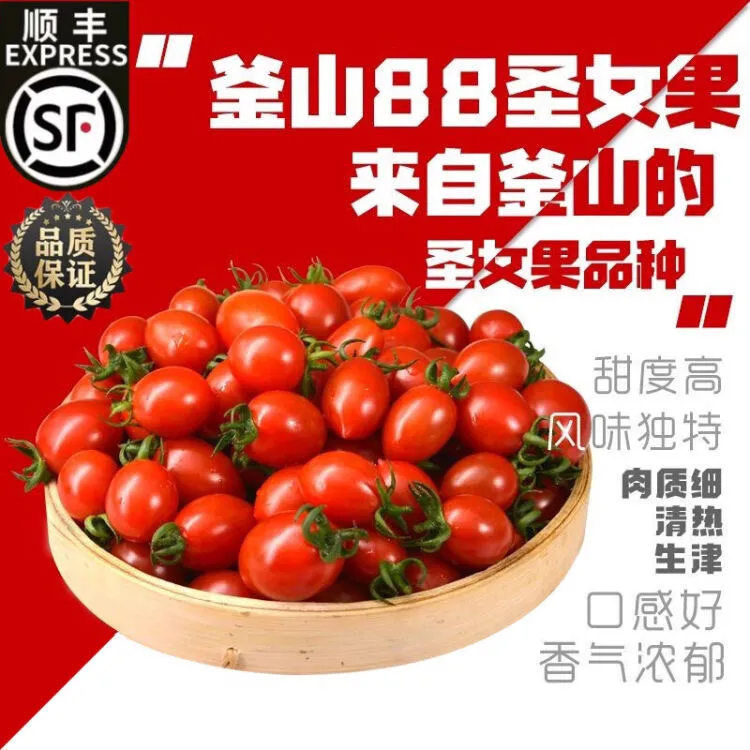 顺丰加冰超甜正宗釜山88玲珑圣女果爆汁樱桃千禧小番茄孕妇水果