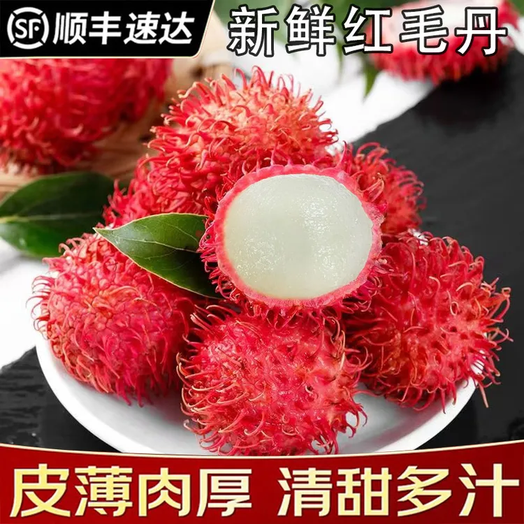 海南红毛丹红毛丹水果新鲜采摘当季水果毛荔枝爆甜多汁现摘现发