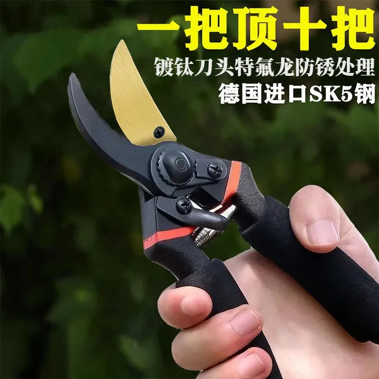 德国进口剪枝专用剪刀修枝剪刀树枝修剪粗枝花枝剪子园林园艺工具