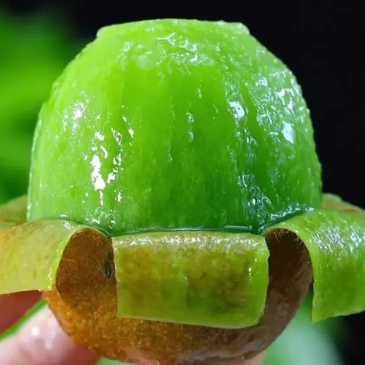 贵州贵长黔西绿心猕猴桃农家自种现摘新鲜产地直发5斤/10斤包邮