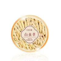 【大好康专属】白虫草
