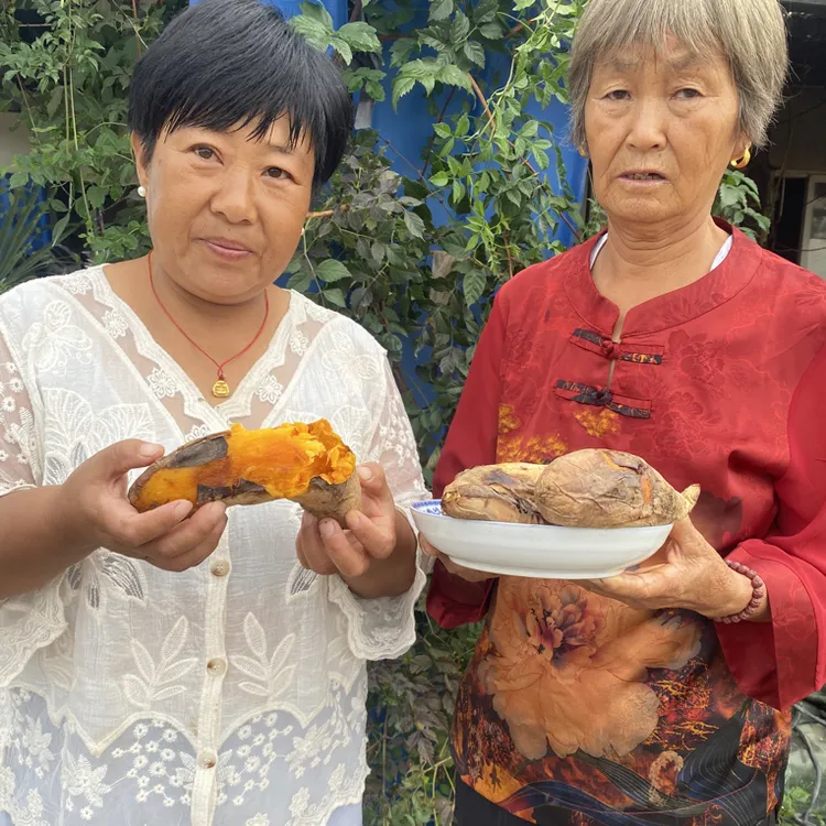 正宗山东流糖烟薯25号糖心流油软糯香甜红薯地瓜