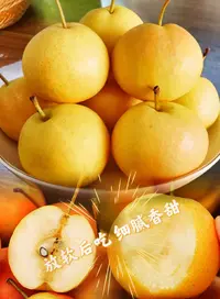 鞍山老式南果梨新鲜梨子水果南国梨软糯香甜整箱包邮