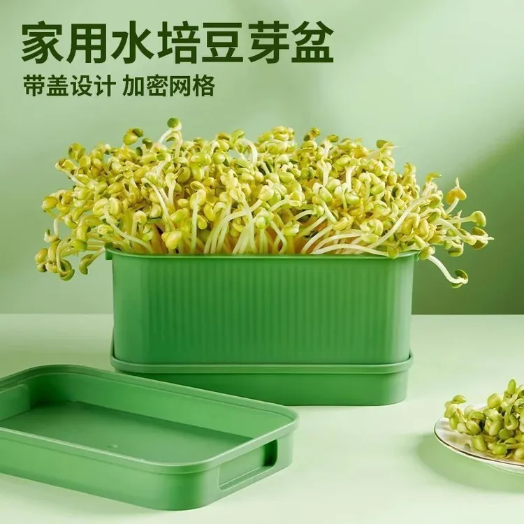 豆芽盆家用发芽豆芽机豆芽菜盘水培育苗盆家庭阳台种植蔬菜发芽盆商品图