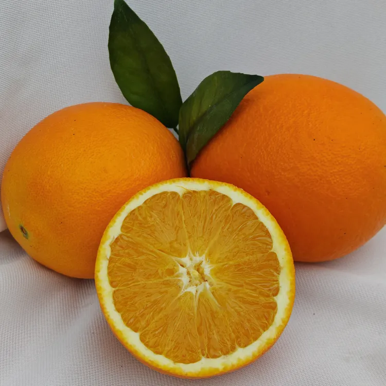 正宗江西赣南脐橙农家甜橙子现摘新鲜水果产地直发甜橙赣州