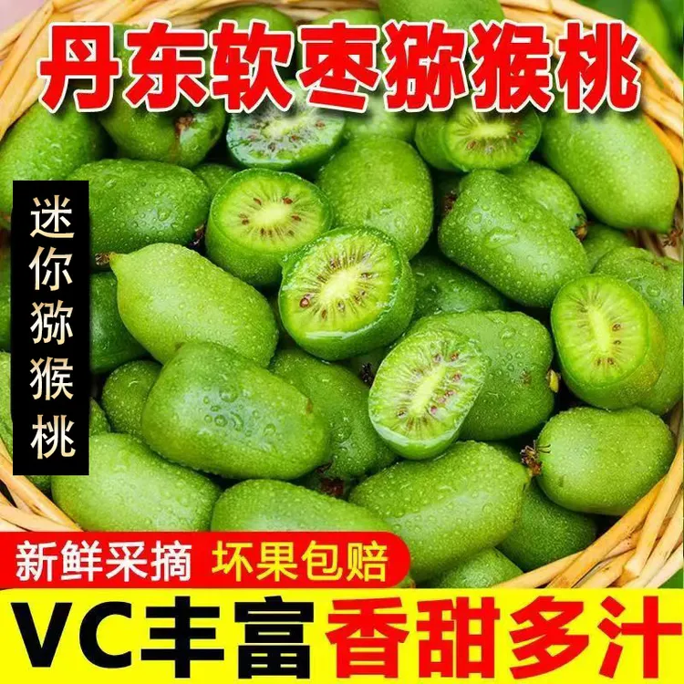 【大果到手30个左右】东北软枣猕猴桃奇异莓Vc小巨人【到货后放软吃】