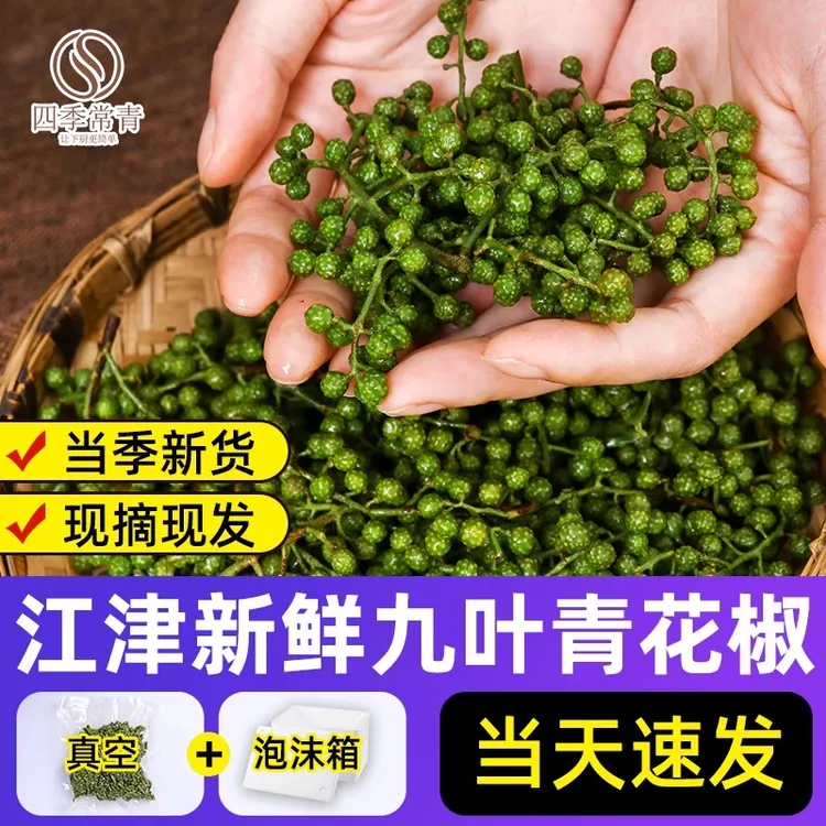 新鲜青花椒真空350g重庆江津九叶青藤椒四川鲜青花椒鲜麻椒鲜花椒