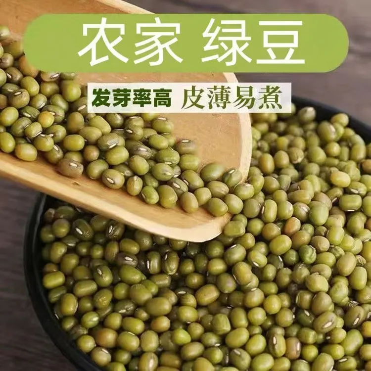 【净重五斤】正宗绿豆新货新鲜农家绿豆绿豆汤绿豆散装