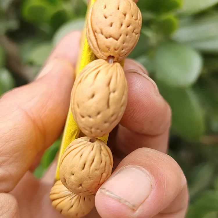 蚕蛹手串12颗籽肚12桩高17+无修，样品串已出，同款可定制