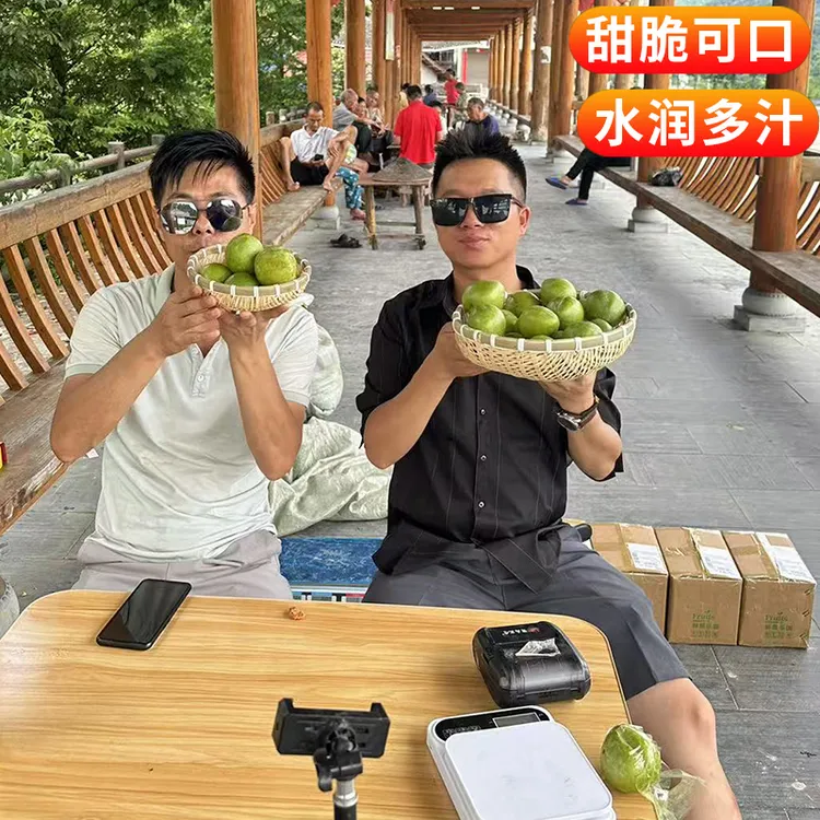 湖南靖州奈李脆甜可口3斤装