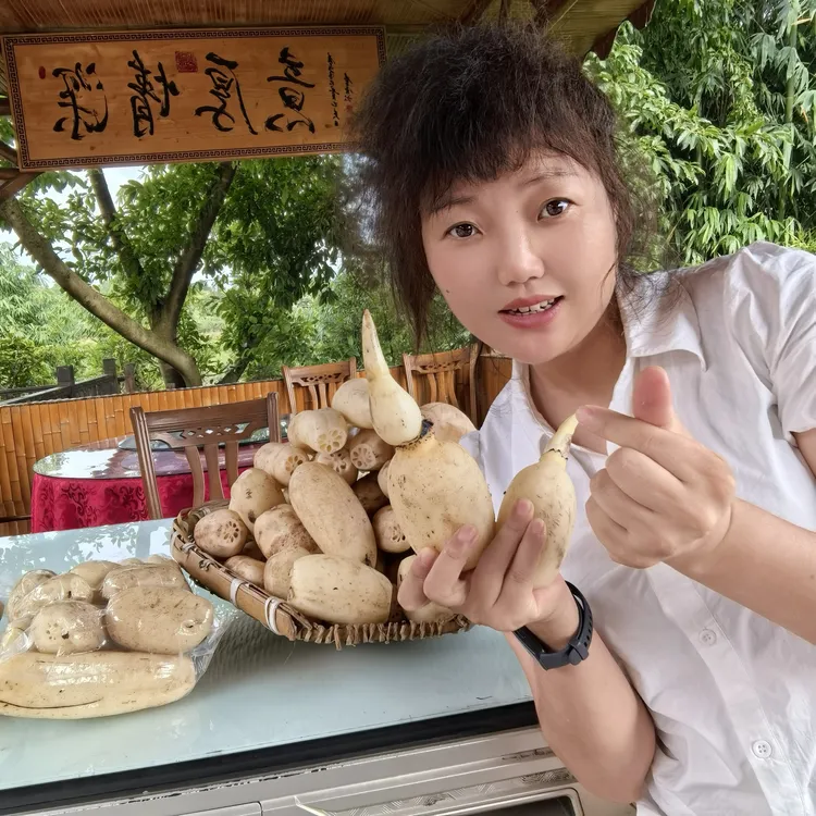 顺丰包邮四川宜宾自种莲藕