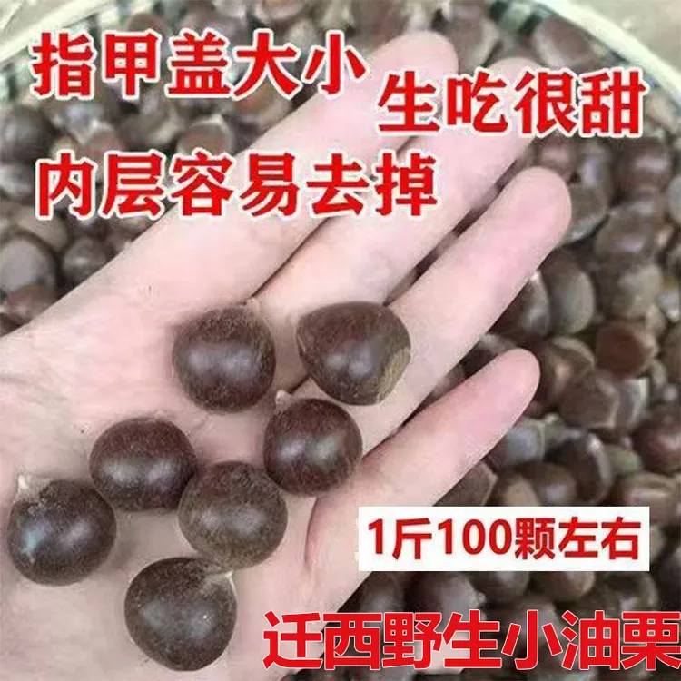 25年正宗迁西小油生板栗高山小毛栗子皮薄好拨皮小甜野生小粒带壳
