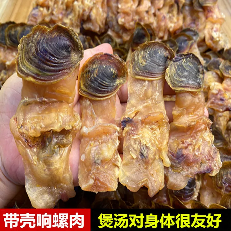 原只带壳美螺片响螺肉响螺片带壳响螺头海产干货煲汤煲粥鲜甜靓货