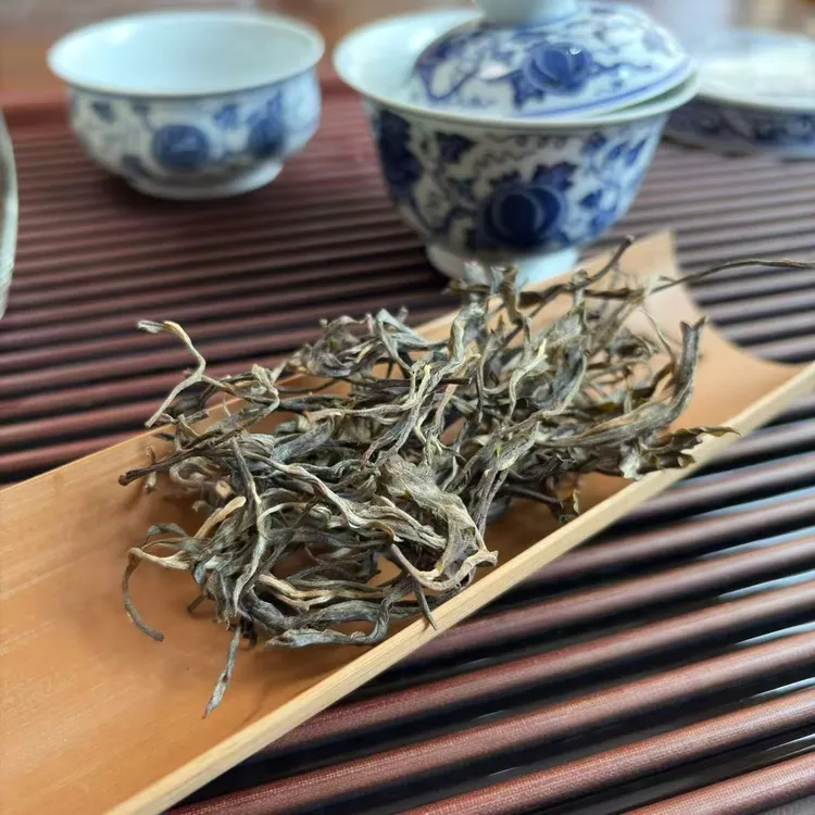 2025年刮风寨黑水梁子头春古树混采 花蜜香野韵显饱满 普洱生茶