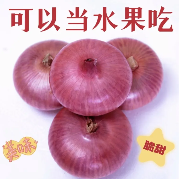 (精品红象)山东新鲜水果扁洋葱可生吃微甜微辣5斤时令蔬菜
