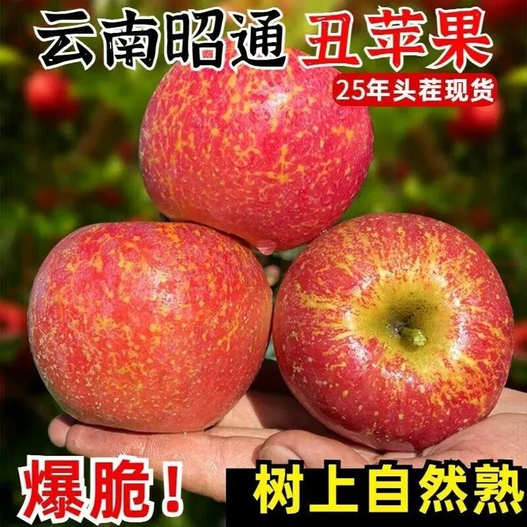 云南昭通冰糖心丑苹果脆甜多汁新鲜现摘当季水果