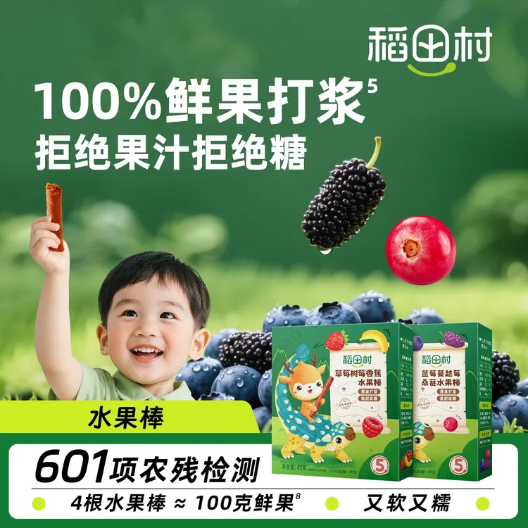 稻田村水果棒无添加蔗糖草莓蓝莓树莓儿童零食酸甜水果果肉条