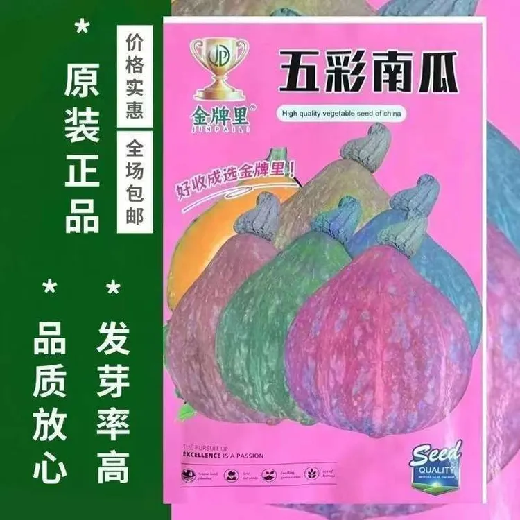 五彩贝贝南瓜高产抗病早熟秋季播种庭院蔬菜种子