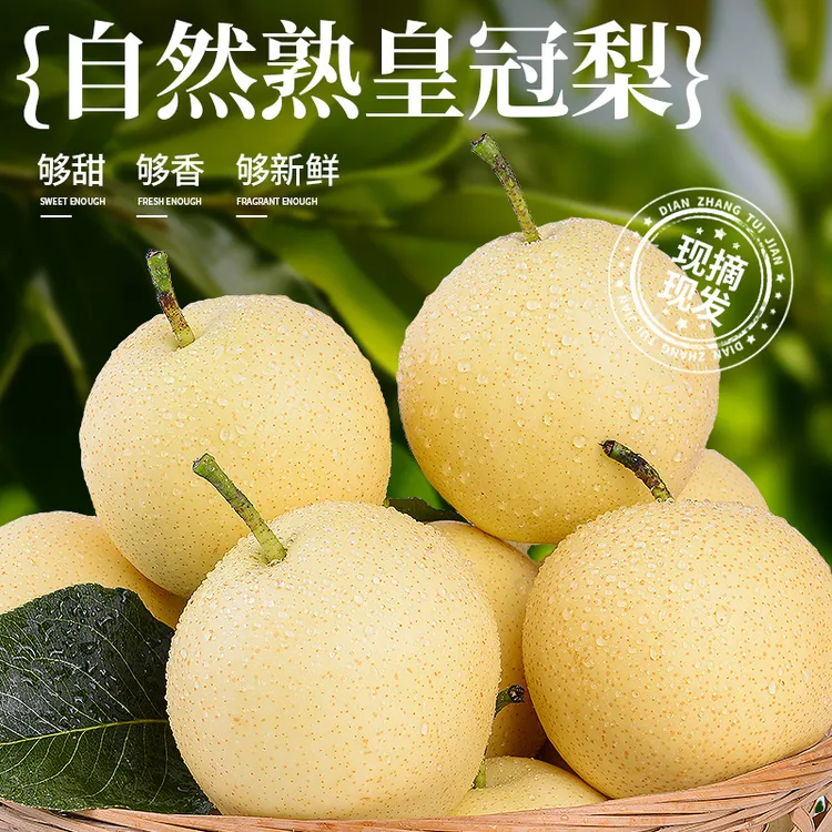 现摘现发河北皇冠梨新鲜水果当季梨子脆甜多汁孕妇整箱送礼水果