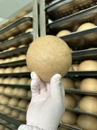 《小翠严选》全麦馒头 手工老面发酵   200gX12个