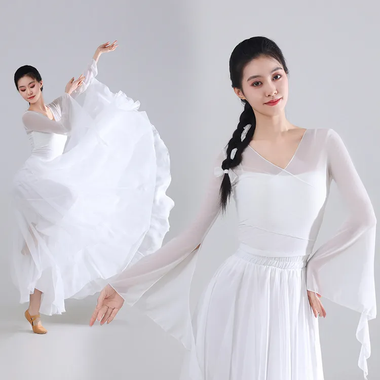 古典舞蹈服女身韵纱衣练功服720度大摆裙网纱飘逸仙气渐变演出服