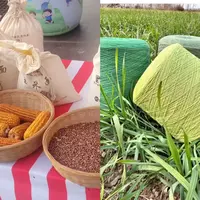 七安产品-农业/毛线产品-专拍链接（12月13日）-1系列（500克）