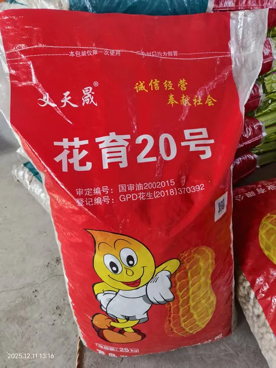 高产白沙品种花育20号 10斤