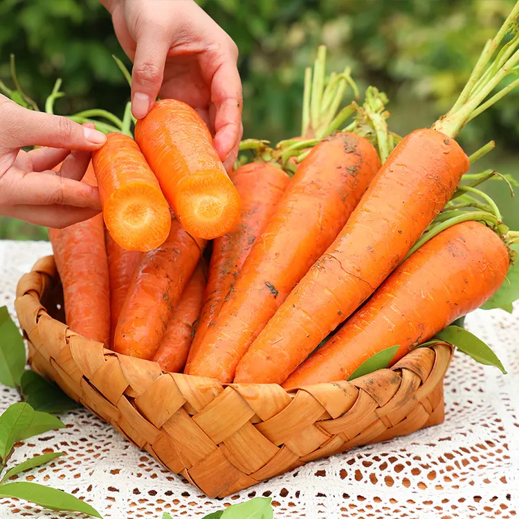 河南开封胡萝卜新鲜时令蔬菜农家自种脆甜沙地红萝卜J